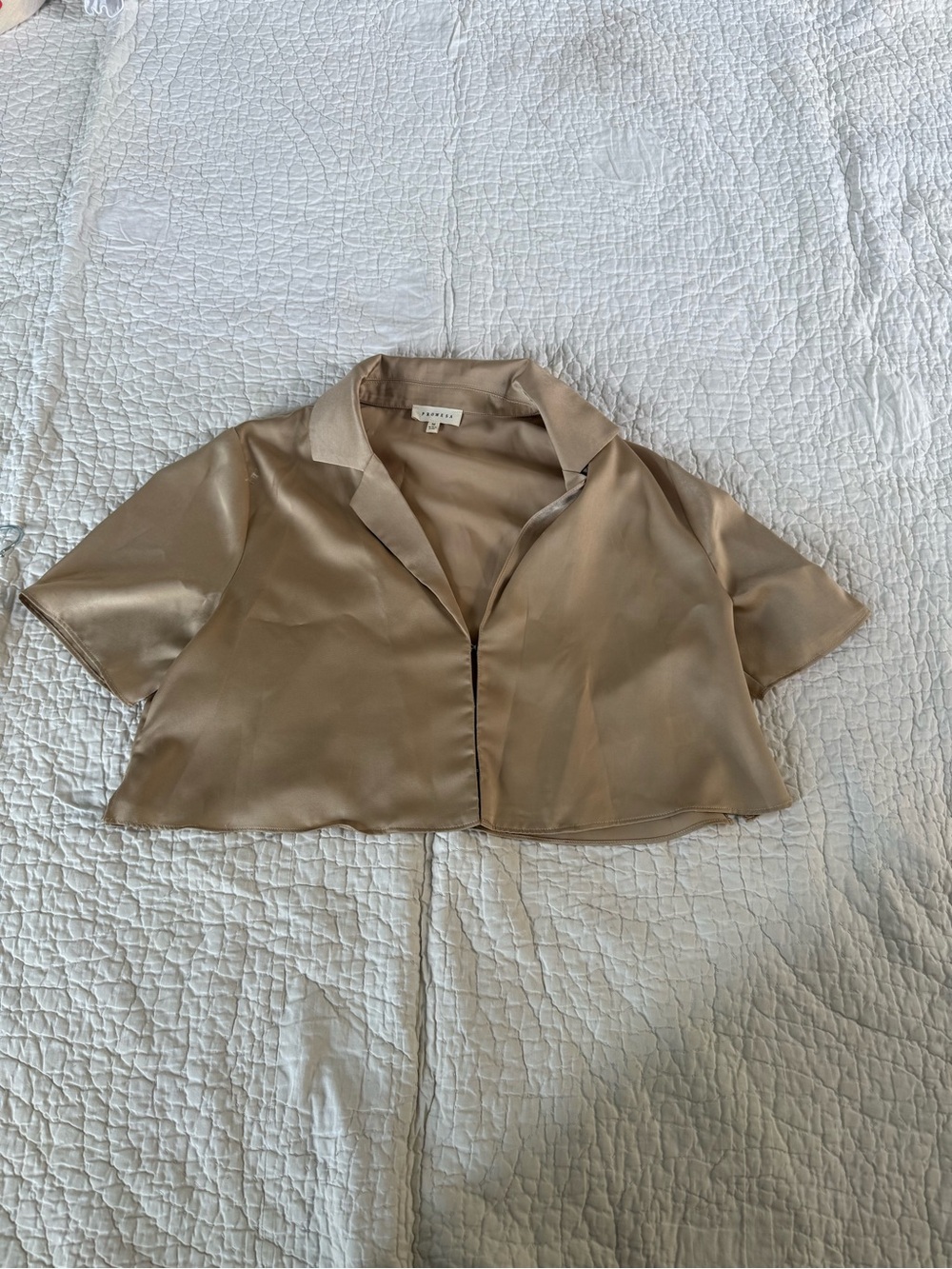 Promesa Short Satin Button-Front Blouse in Taupe